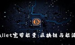 : 深入了解tpWallet宽带能量