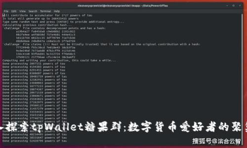 深入探索tpWallet糖果群：数字货币爱好者的聚集地