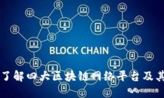 深入了解四大区块链网络