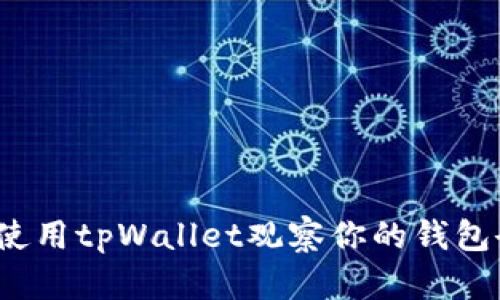 详细指南：如何使用tpWallet观察你的钱包余额和交易记录