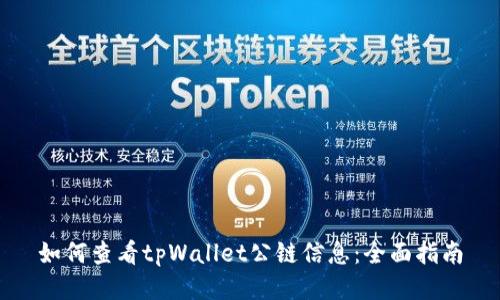 如何查看tpWallet公链信息：全面指南