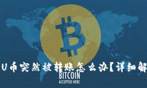 : tpWallet的U币突然被转账怎么办？详细解析及解决方法