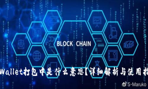 tpWallet打包中是什么意思？详细解析与使用指南