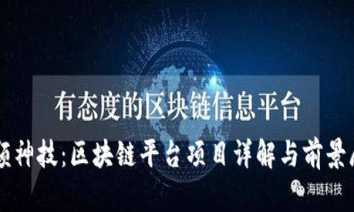 凤颖神技：区块链平台项目详解与前景展望