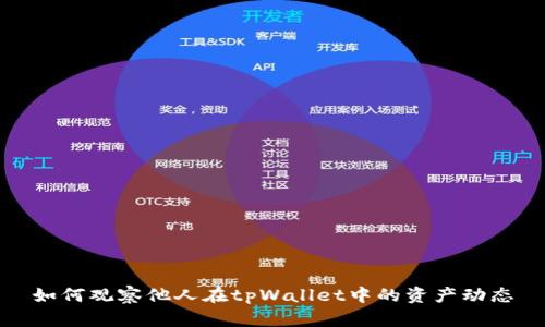 如何观察他人在tpWallet中的资产动态
