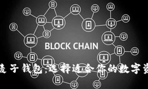 tpWallet与麦子钱包：选择适合你的数字资产管理工具