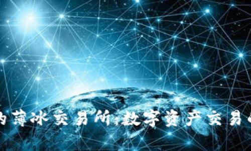 tpWallet的薄冰交易所：数字资产交易的全新选择