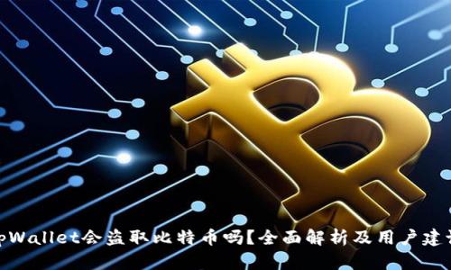 tpWallet会盗取比特币吗？全面解析及用户建议