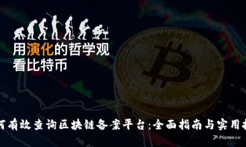 如何有效查询区块链备案平台：全面指南与实用技巧