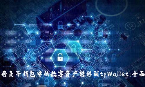 如何将麦子钱包中的数字资产转移到tpWallet：全面指南