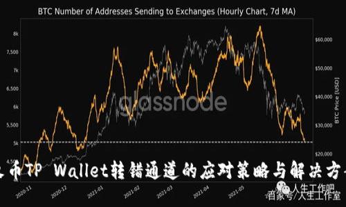 火币TP Wallet转错通道的应对策略与解决方案