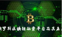 探索俄罗斯区块链融资平台及其未来趋势