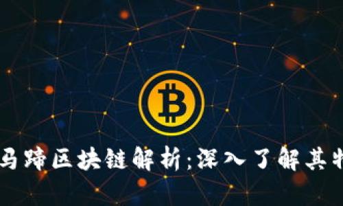 tpWallet马蹄区块链解析：深入了解其特点与应用