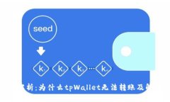 : 深入解析：为什么tpWallet无法转账及解决方案