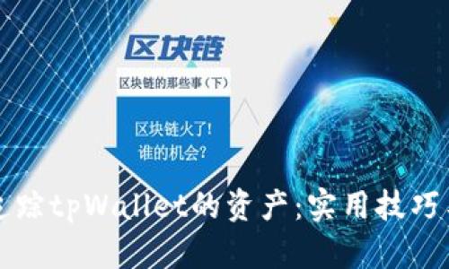 如何高效追踪tpWallet的资产：实用技巧与工具分析