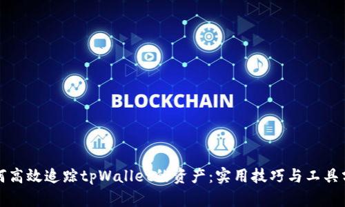 如何高效追踪tpWallet的资产：实用技巧与工具分析