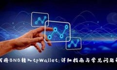 如何将BNB转入tpWallet：详细