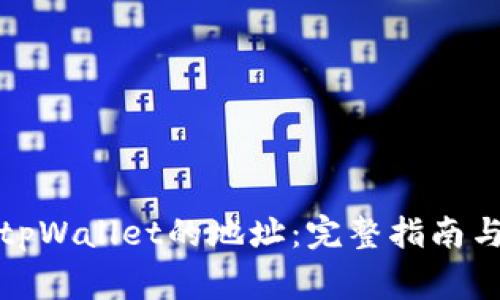 如何自动获取tpWallet的地址：完整指南与常见问题解答