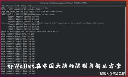 tpWallet在中国大陆的限制与解决方案