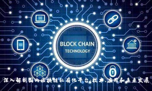 深入解析国内区块链私有化平台：技术、应用和未来发展