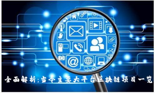 全面解析：当今主要大平台区块链项目一览