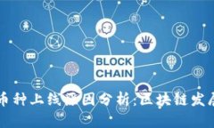 tpWallet新币种上线原因分析