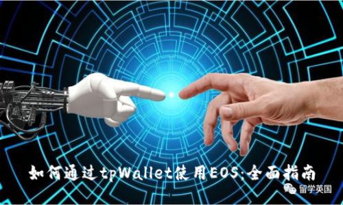 如何通过tpWallet使用EOS：全面指南
